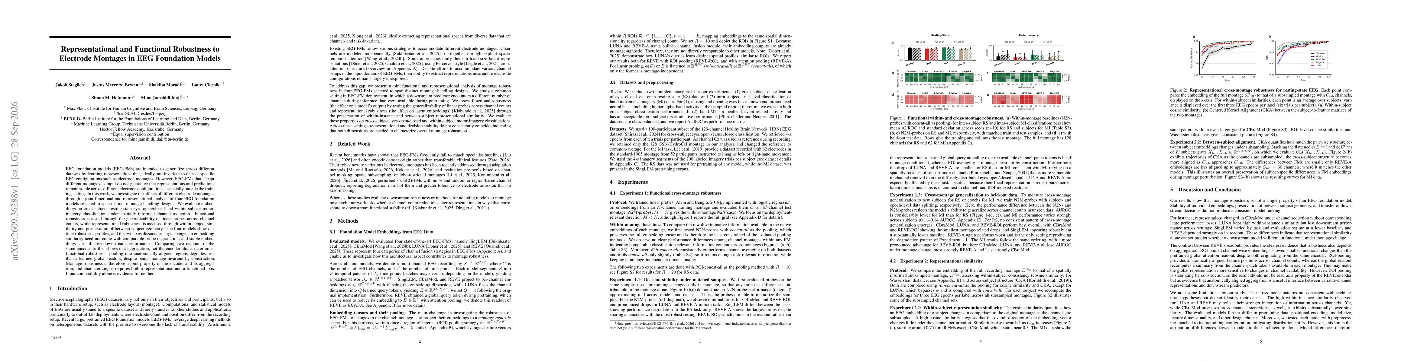 Thumbnail for Representational and Functional Robustness to Electrode Montages in EEG Foundation Models