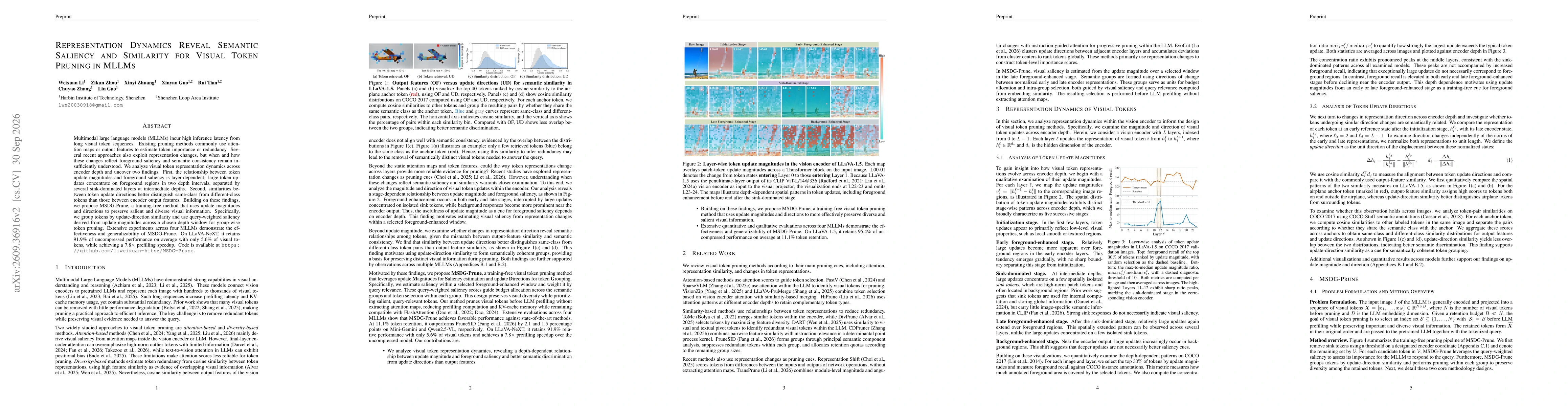 Thumbnail for Representation Dynamics Reveal Semantic Saliency and Similarity for Visual Token Pruning in MLLMs