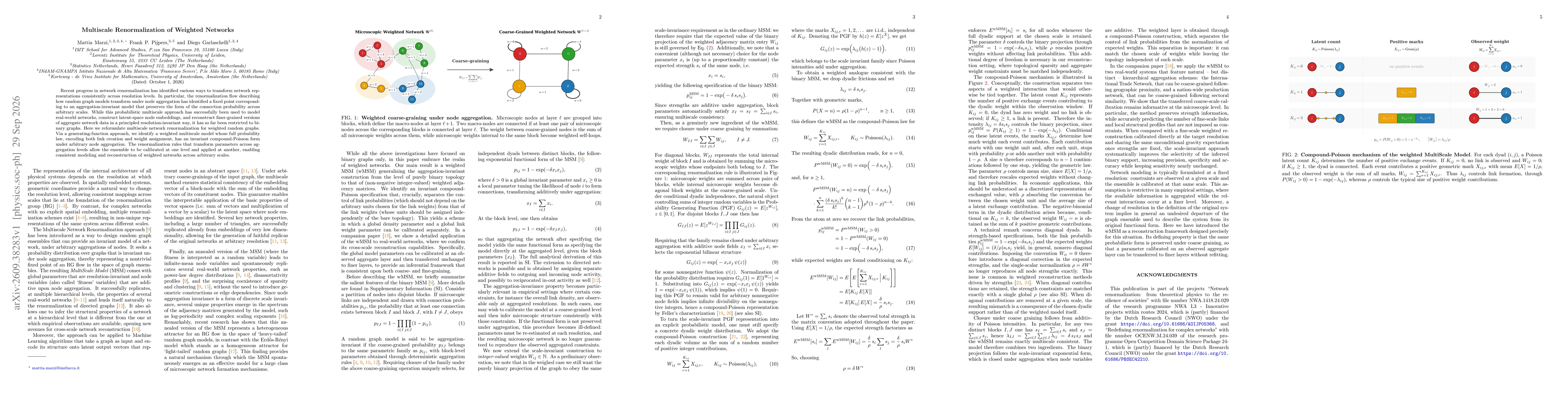 Thumbnail for Multiscale Renormalization of Weighted Networks