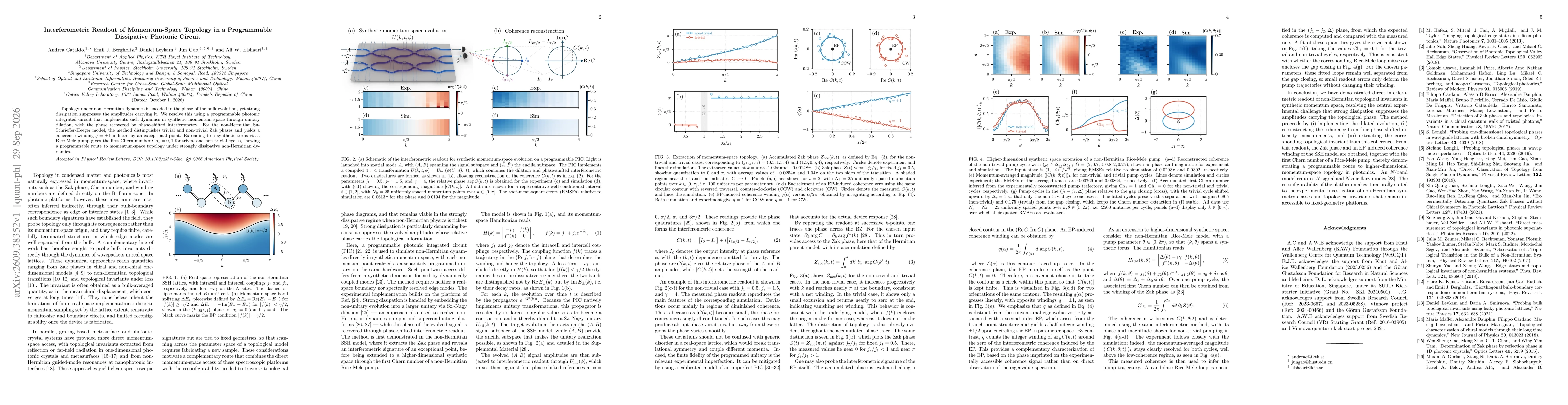 Thumbnail for Interferometric Readout of Momentum-Space Topology in a Programmable Dissipative Photonic Circuit
