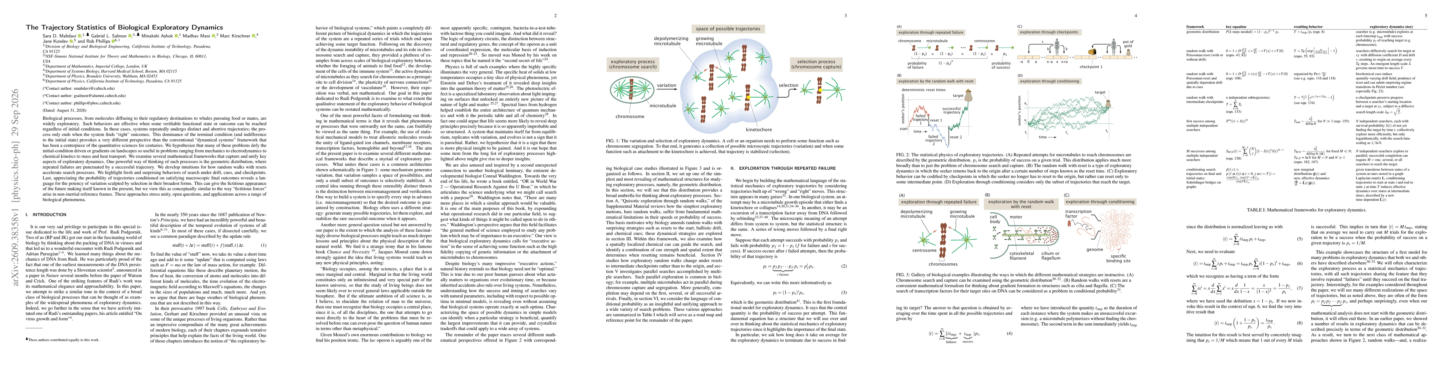 Thumbnail for The Trajectory Statistics of Biological Exploratory Dynamics