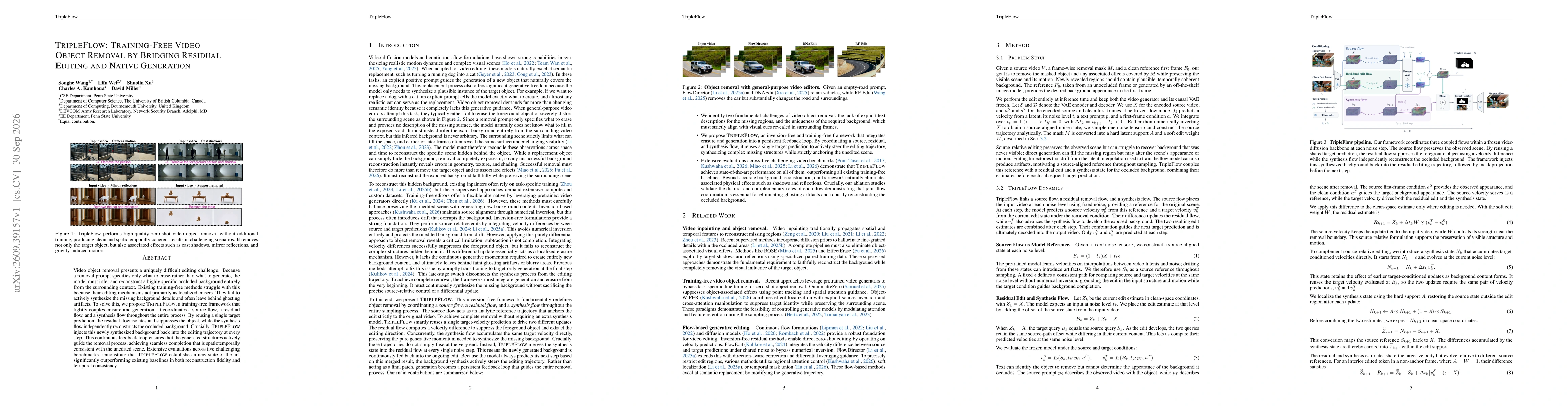 Thumbnail for TripleFlow: Training-Free Video Object Removal by Bridging Residual Editing and Native Generation