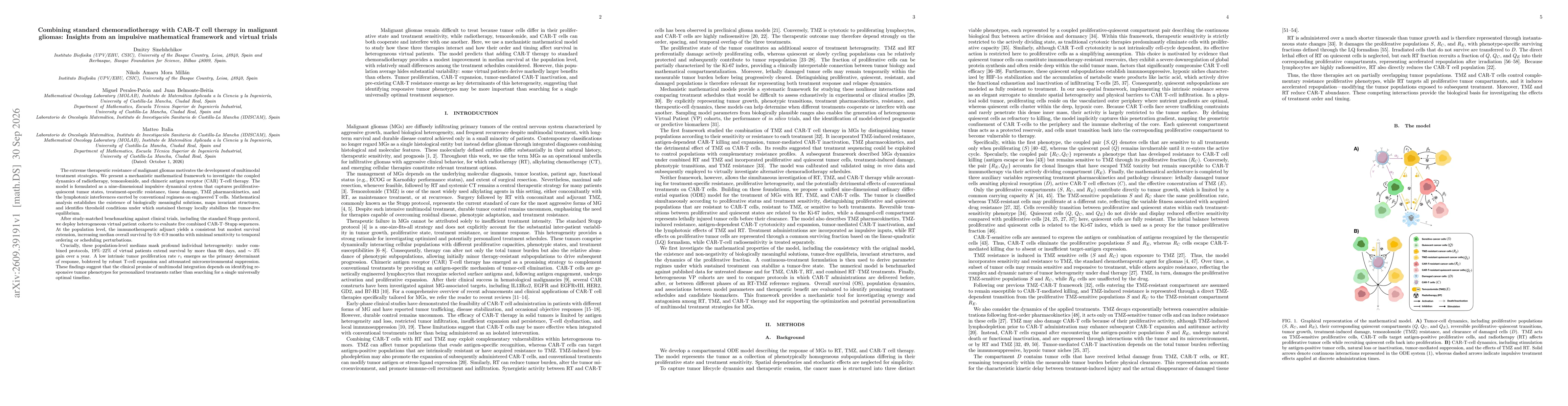 Thumbnail for Combining standard chemoradiotherapy with CAR-T cell therapy in malignant gliomas: Insights from an impulsive mathematical framework and virtual trials
