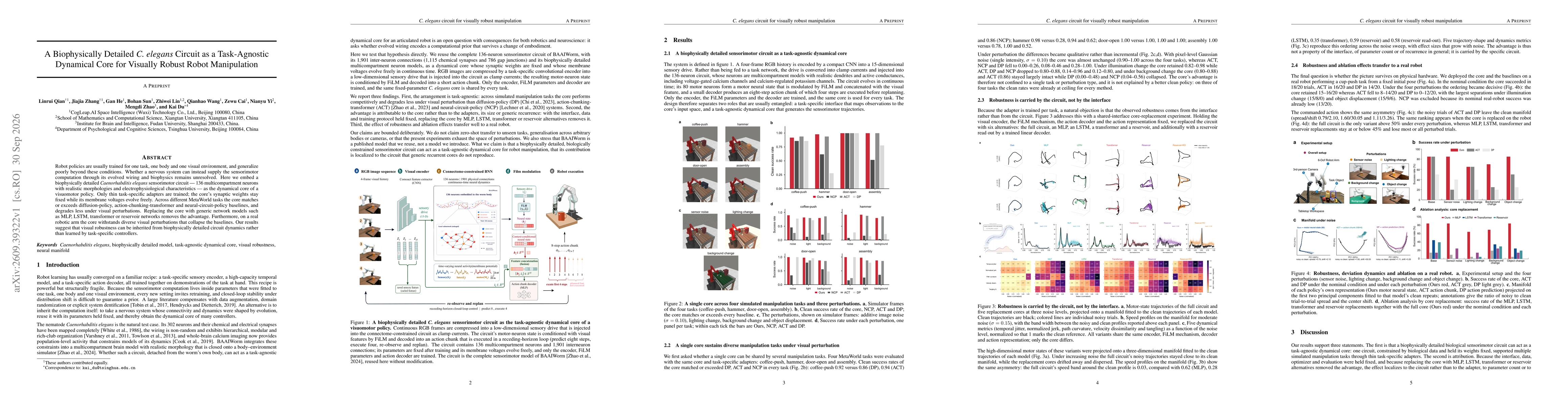 Thumbnail for A Biophysically Detailed C. elegans Circuit as a Task-Agnostic Dynamical Core for Visually Robust Robot Manipulation