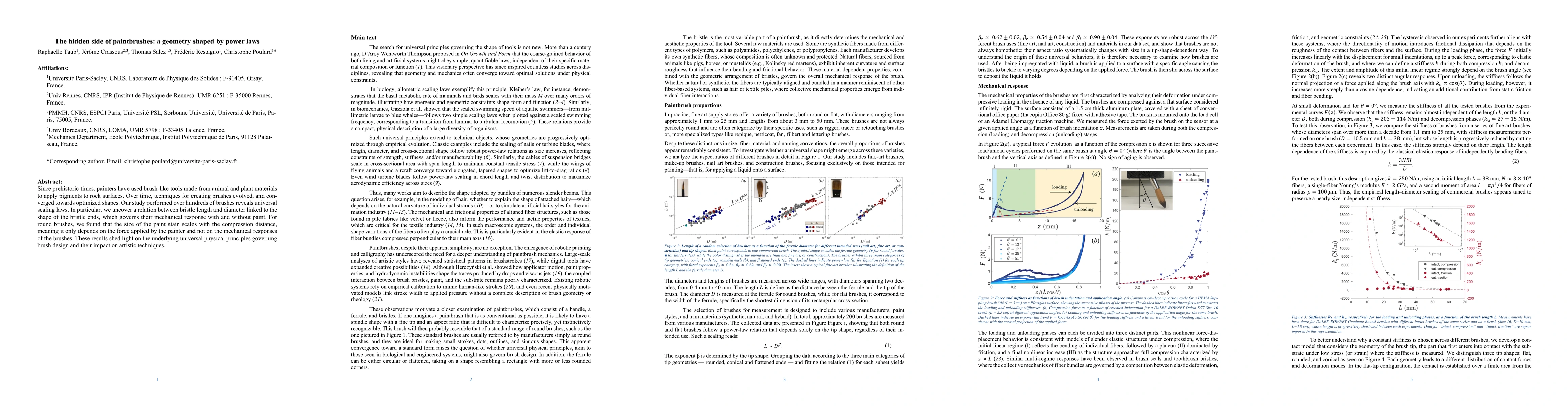 Thumbnail for The hidden side of paintbrushes: a geometry shaped by power laws