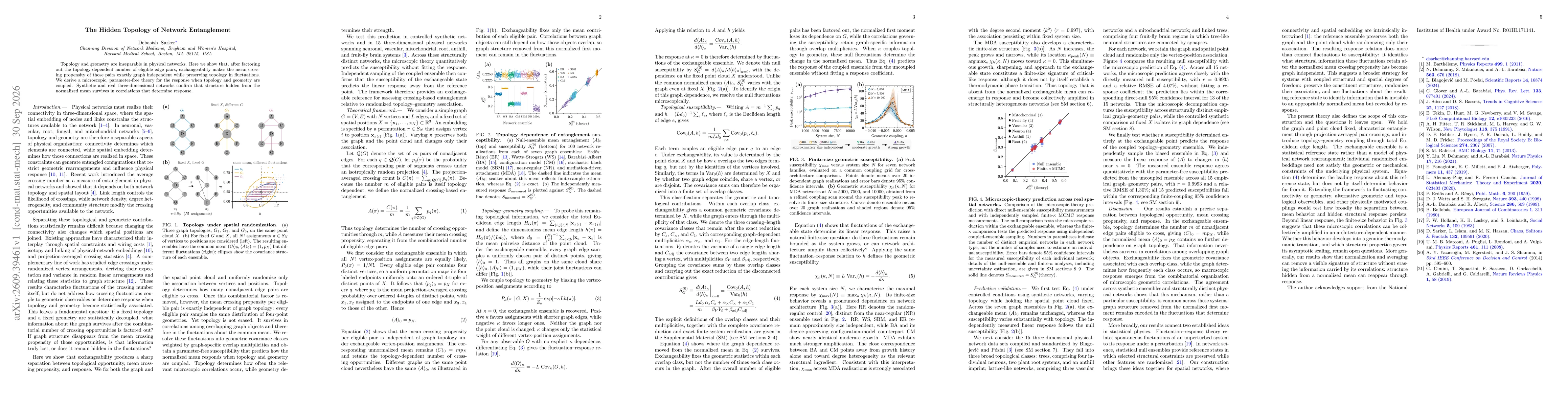 Thumbnail for The Hidden Topology of Network Entanglement