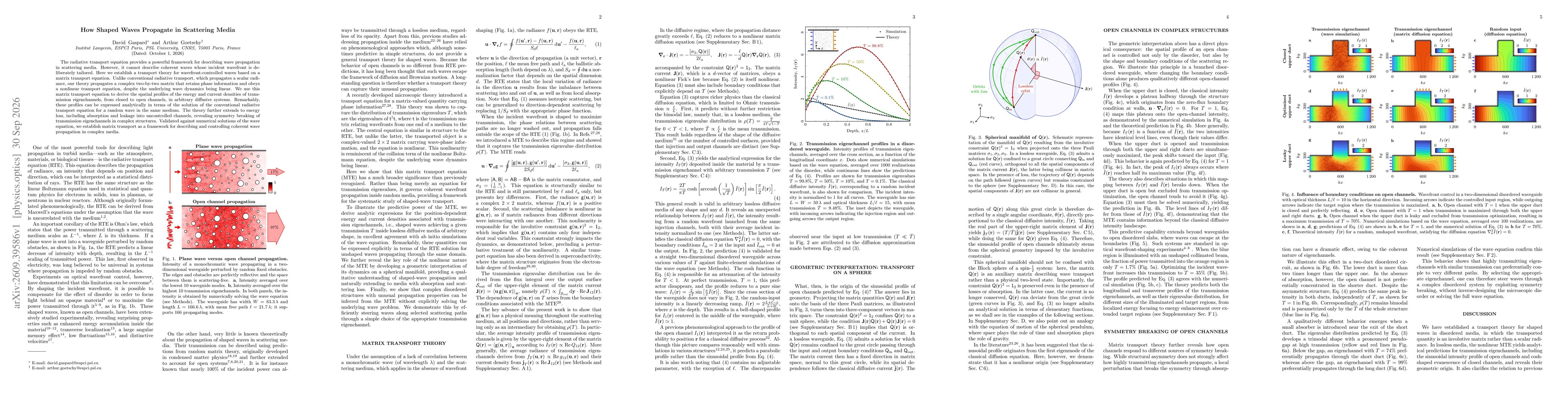 Thumbnail for How Shaped Waves Propagate in Scattering Media