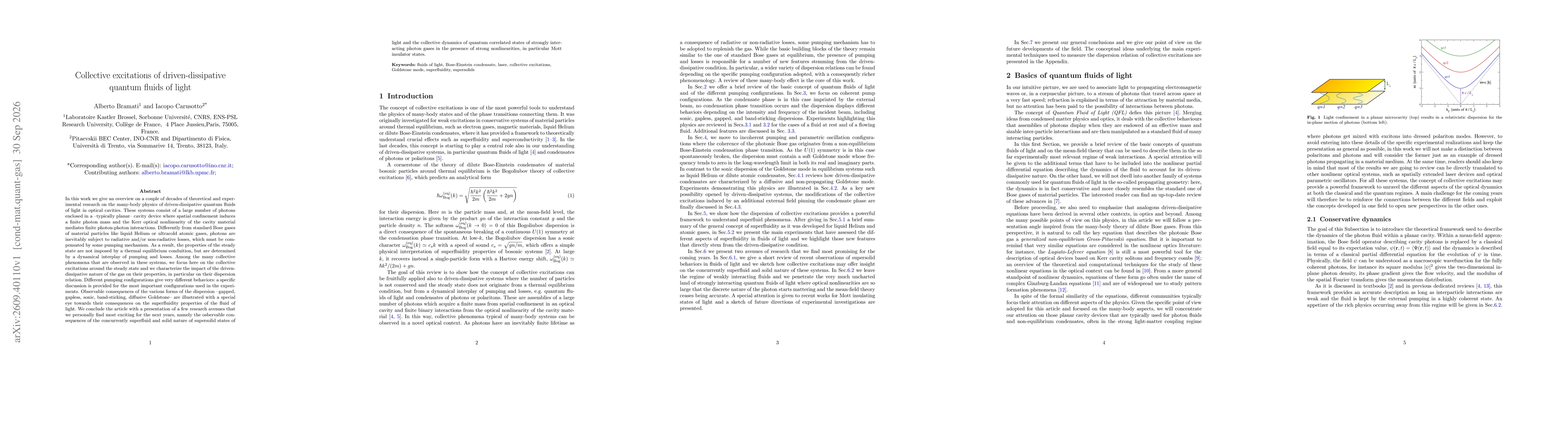 Thumbnail for Collective excitations of driven-dissipative quantum fluids of light