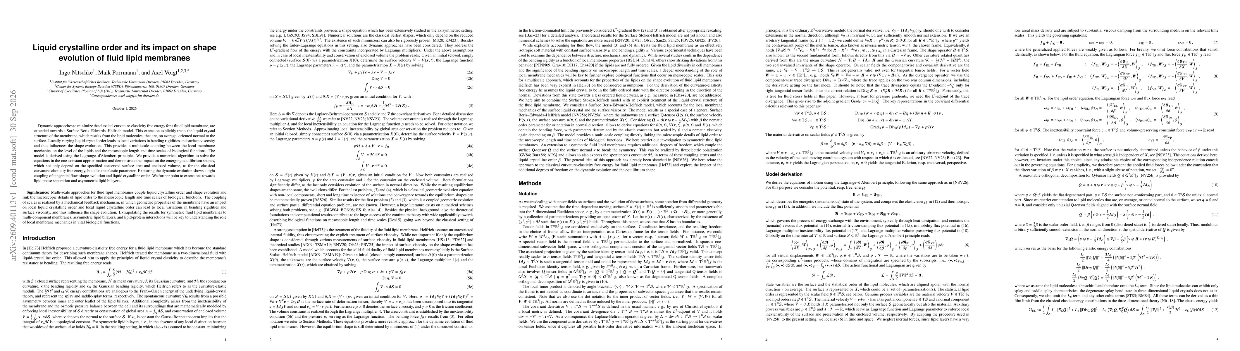 Thumbnail for Liquid crystalline order and its impact on shape evolution of fluid lipid membranes