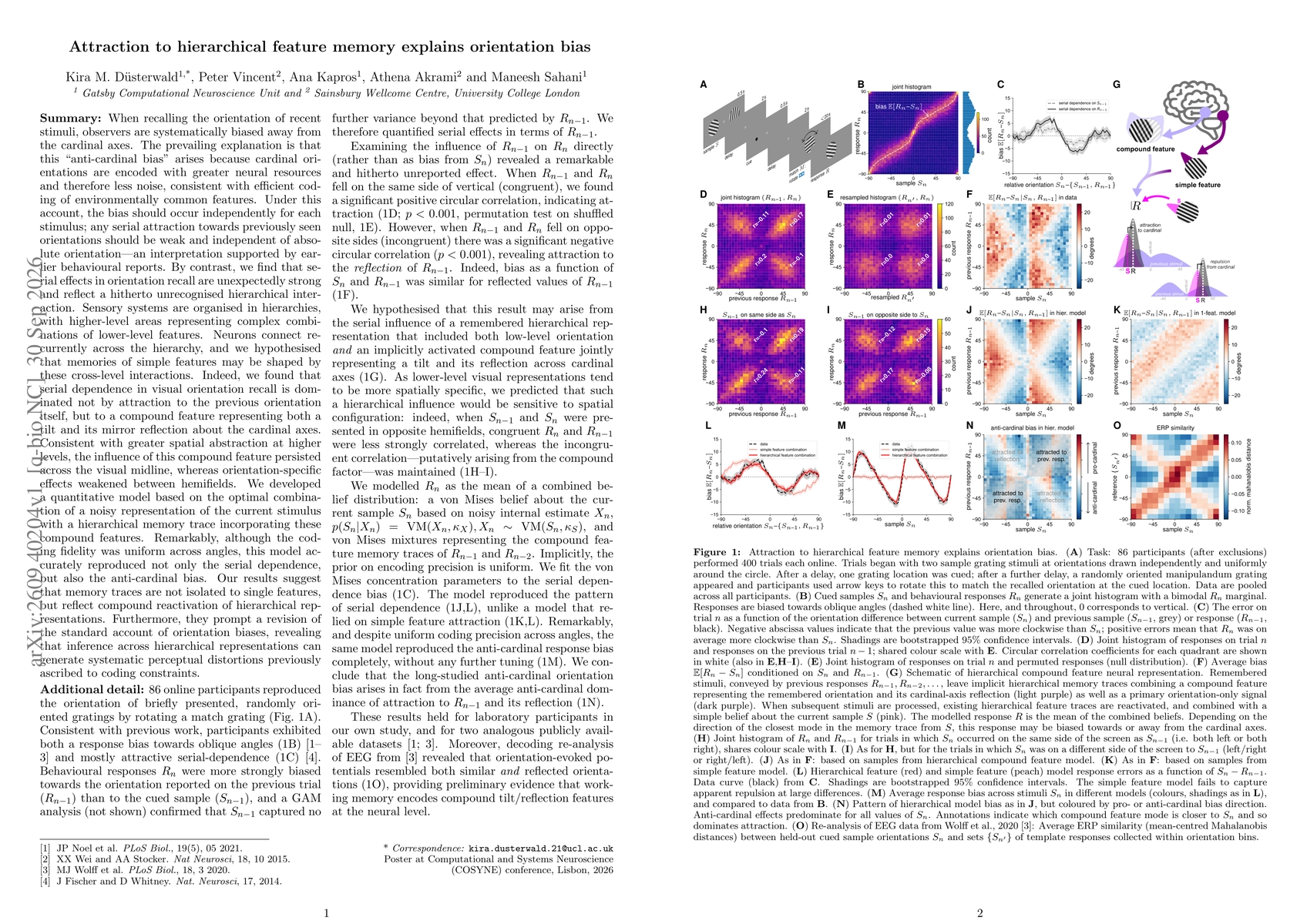Thumbnail for Attraction to hierarchical feature memory explains orientation bias