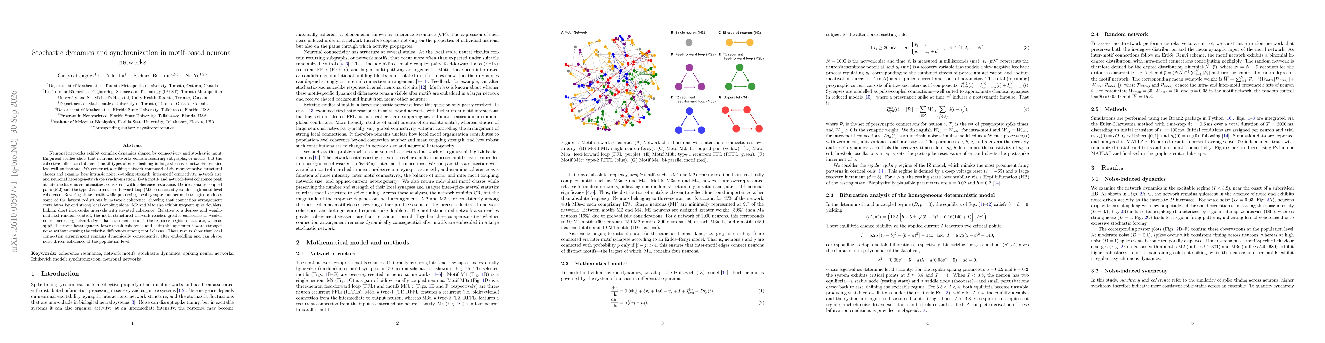 Thumbnail for Stochastic dynamics and synchronization in motif-based neuronal networks
