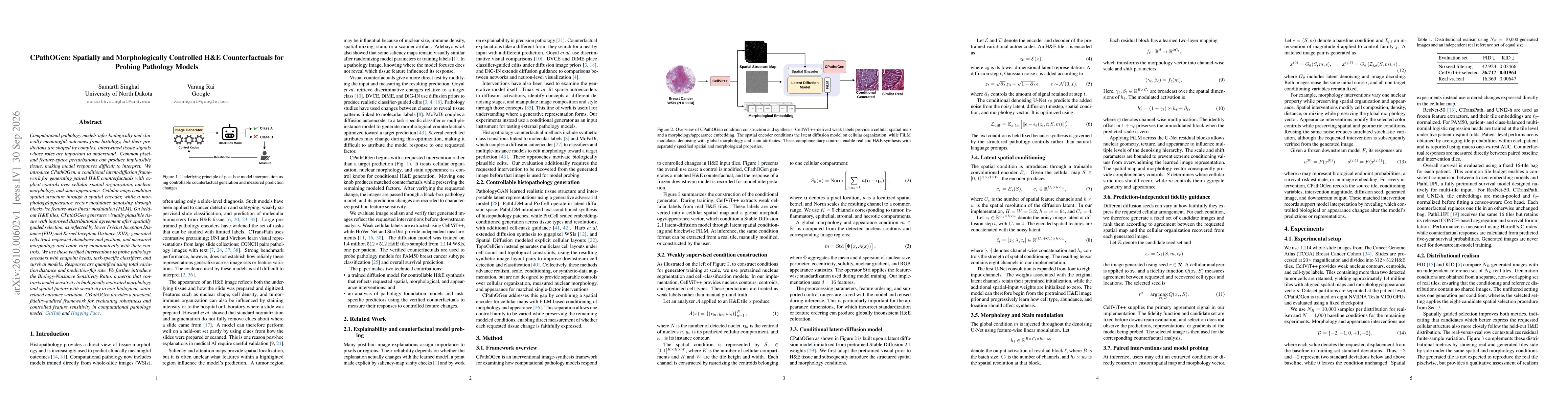 Thumbnail for CPathOGen: Spatially and Morphologically Controlled H&E Counterfactuals for Probing Pathology Models