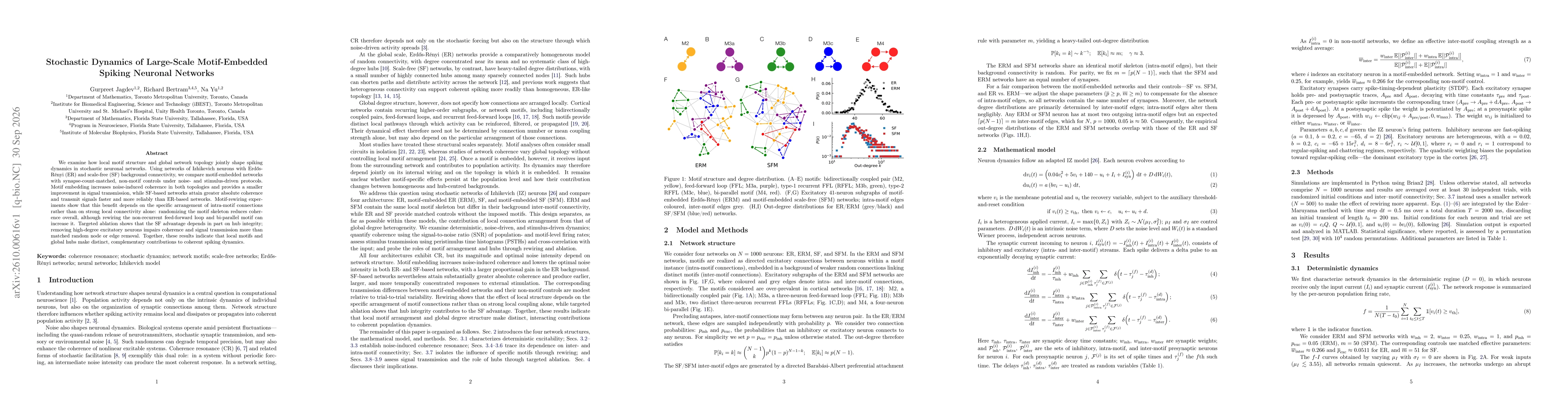 Thumbnail for Stochastic Dynamics of Large-Scale Motif-Embedded Spiking Neuronal Networks