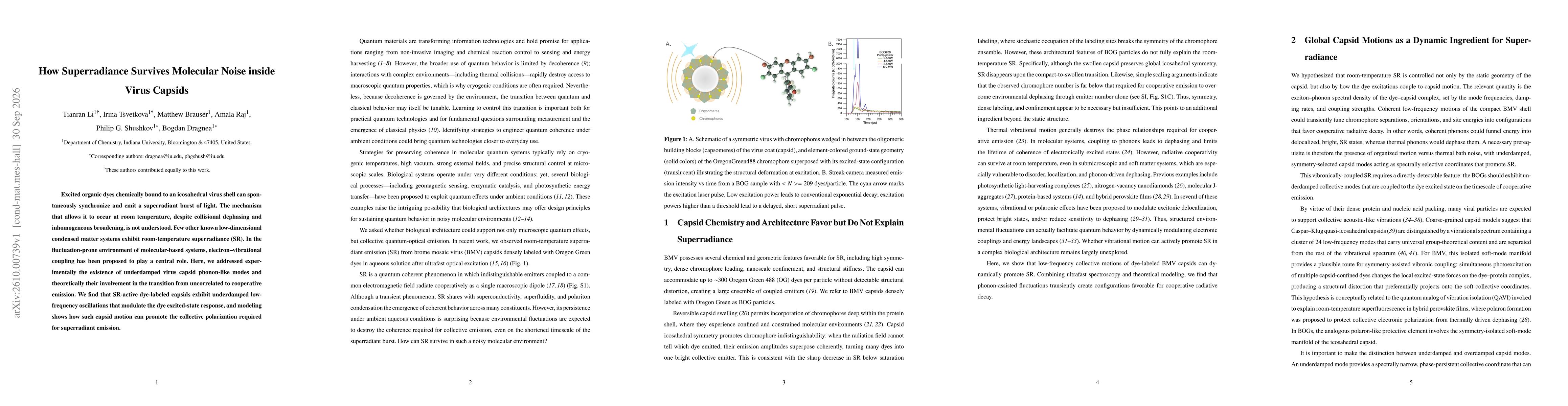 Thumbnail for How Superradiance Survives Molecular Noise inside Virus Capsids