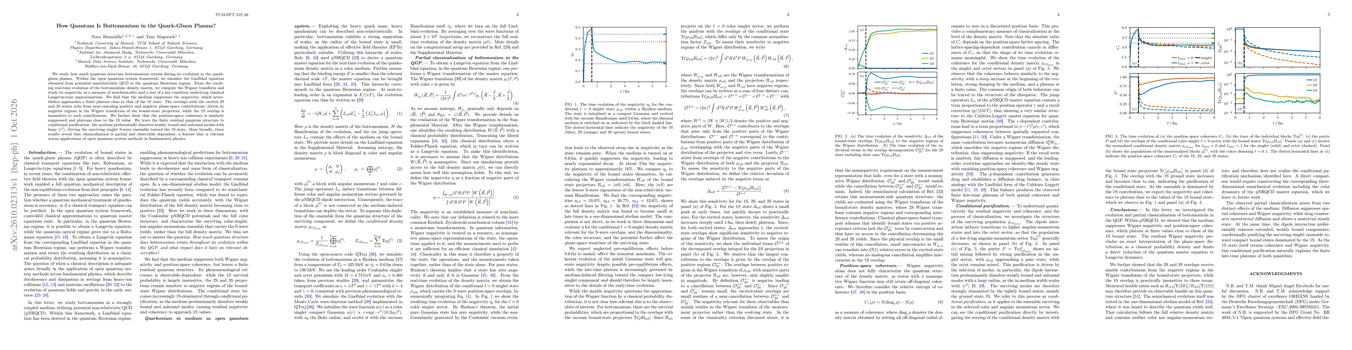 Thumbnail for How Quantum Is Bottomonium in the Quark-Gluon Plasma?