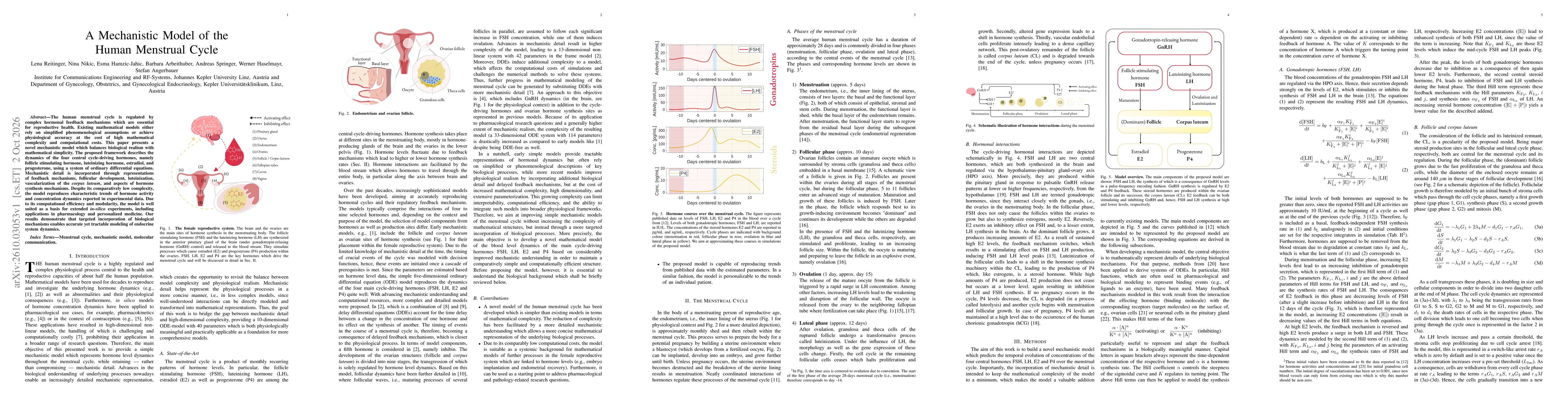 Thumbnail for A Mechanistic Model of the Human Menstrual Cycle