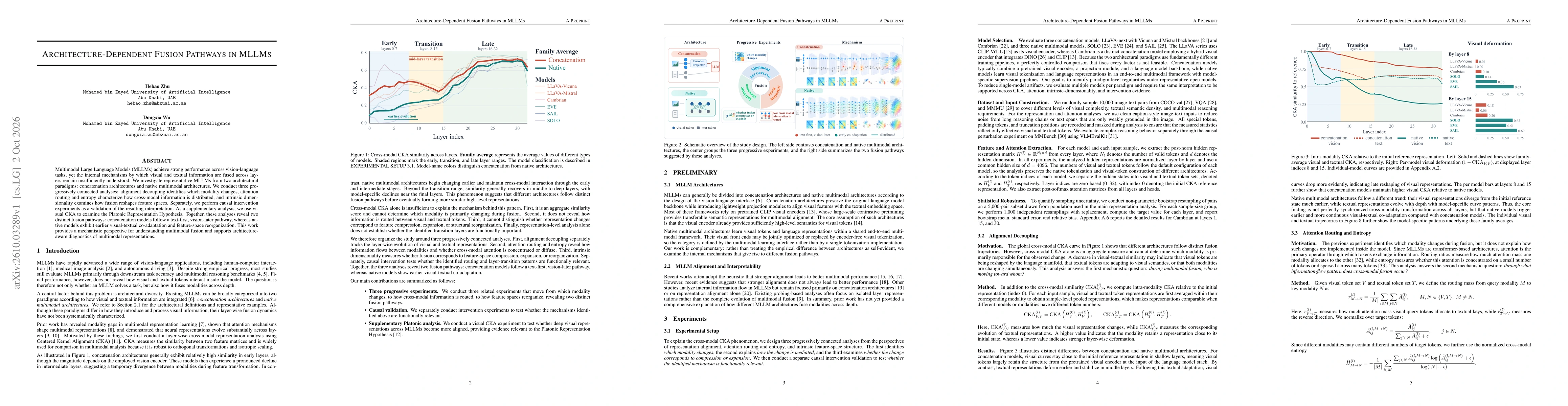Thumbnail for Architecture-Dependent Fusion Pathways in MLLMs