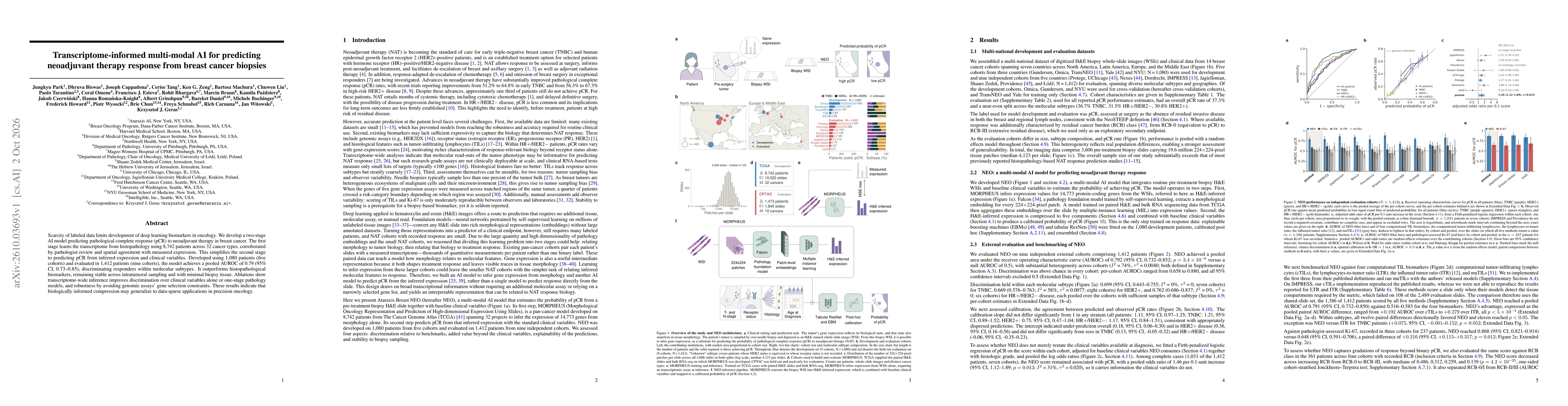 Thumbnail for Transcriptome-informed multi-modal AI for predicting neoadjuvant therapy response from breast cancer biopsies