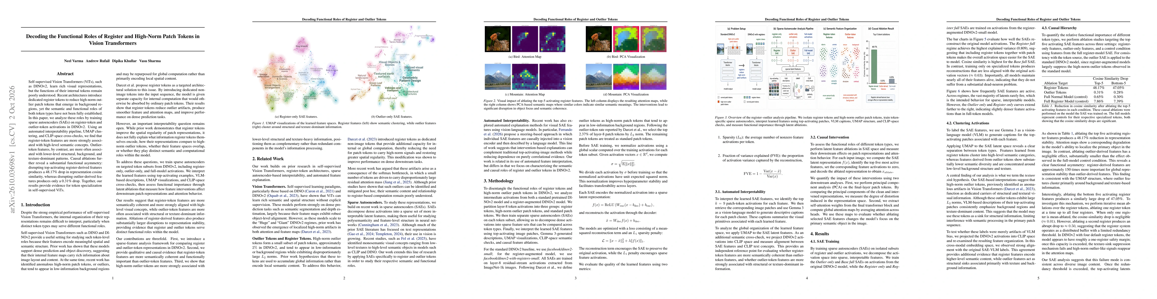 Thumbnail for Decoding the Functional Roles of Register and High-Norm Patch Tokens in Vision Transformers