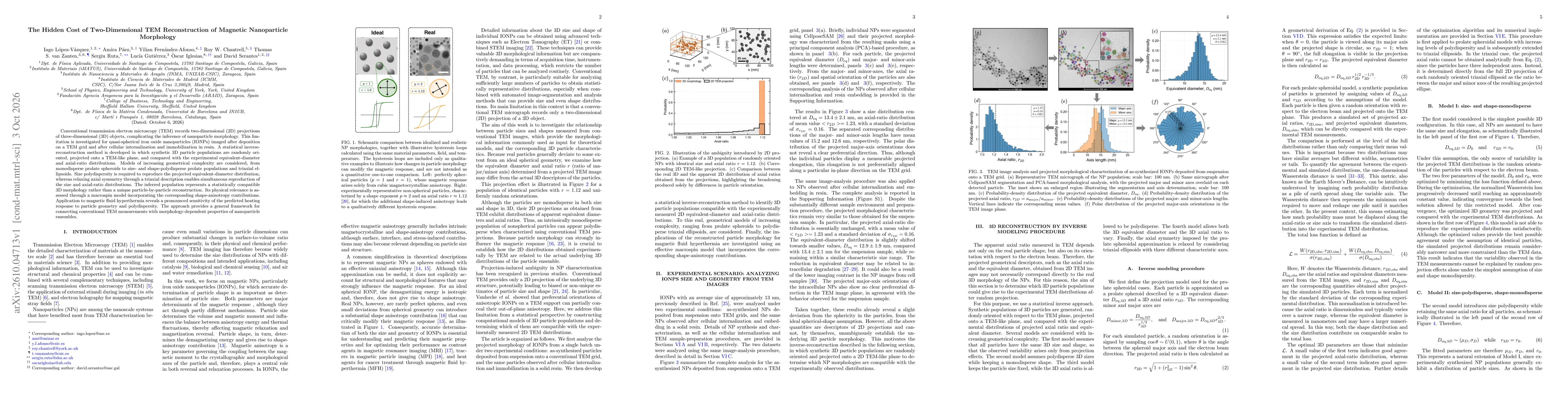 Thumbnail for The Hidden Cost of Two-Dimensional TEM Reconstruction of Magnetic Nanoparticle Morphology