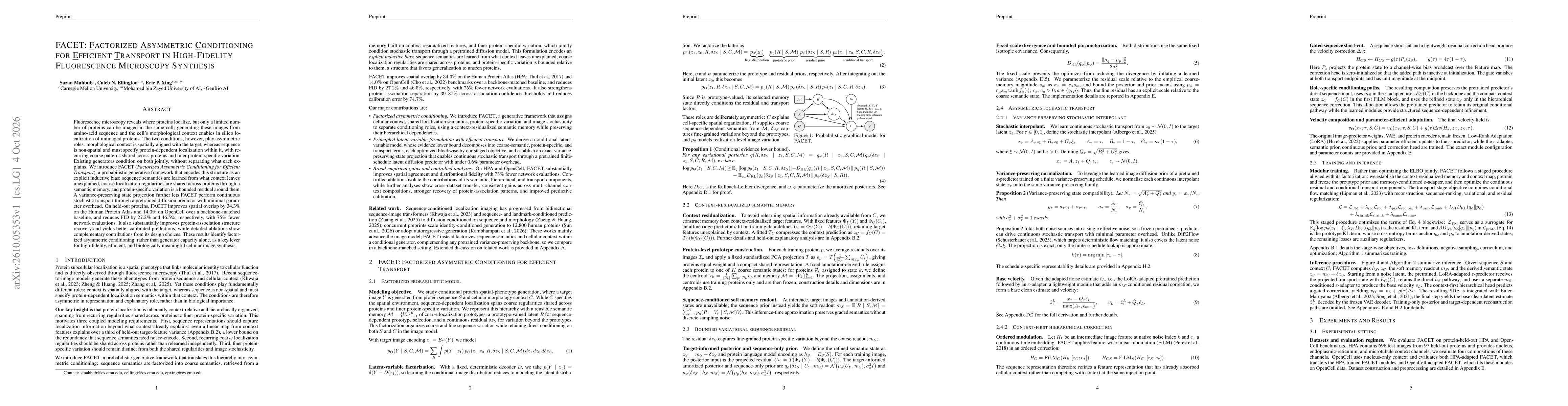 Thumbnail for FACET: Factorized Asymmetric Conditioning for Efficient Transport in High-Fidelity Fluorescence Microscopy Synthesis