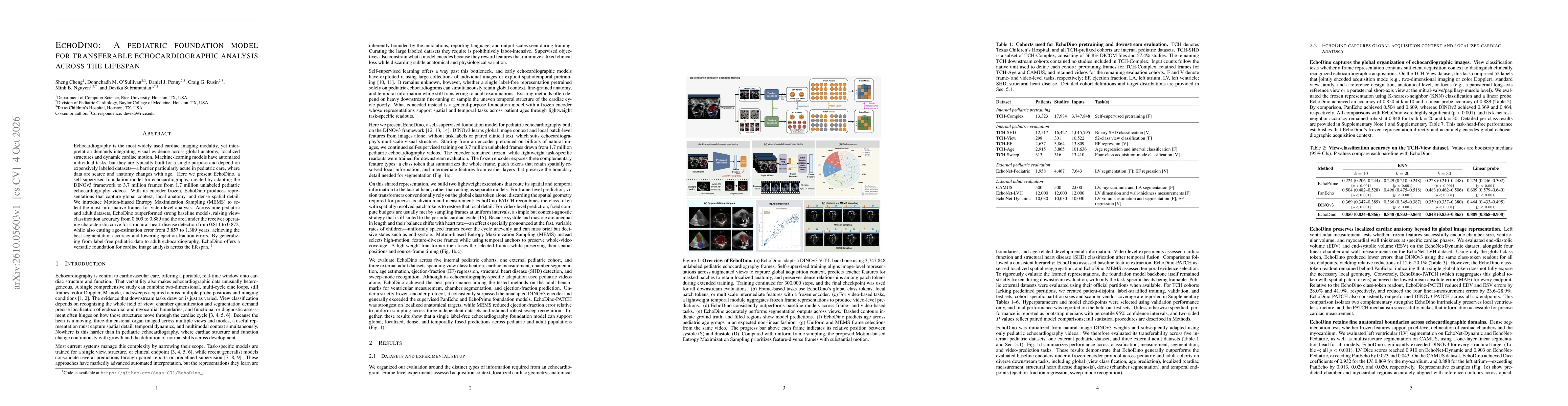 Thumbnail for EchoDino: A pediatric foundation model for transferable echocardiographic analysis across the lifespan