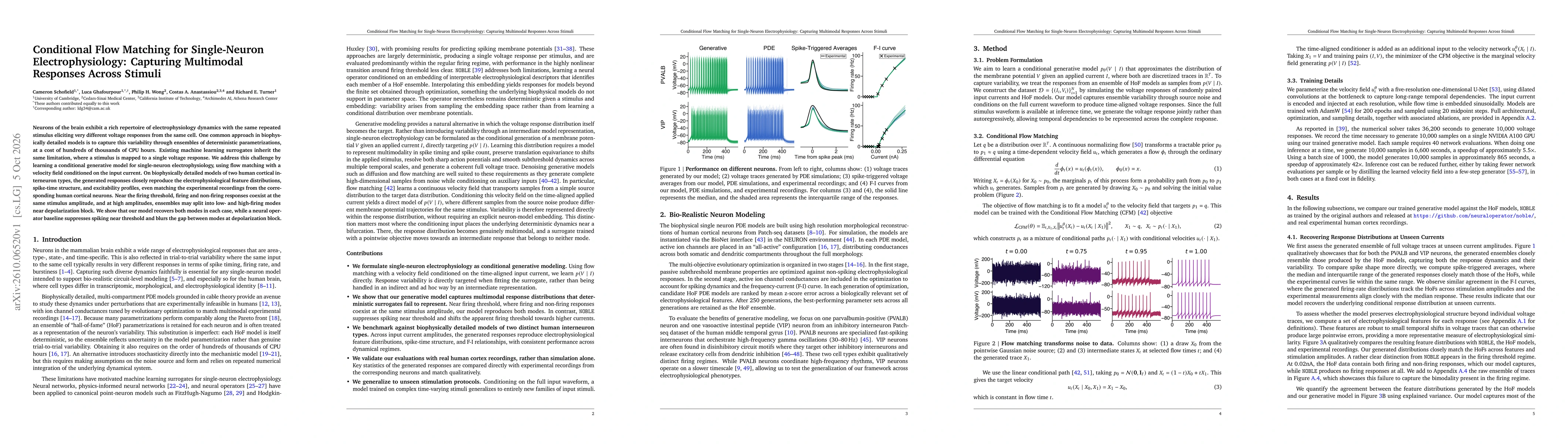Thumbnail for Conditional Flow Matching for Single-Neuron Electrophysiology: Capturing Multimodal Responses Across Stimuli