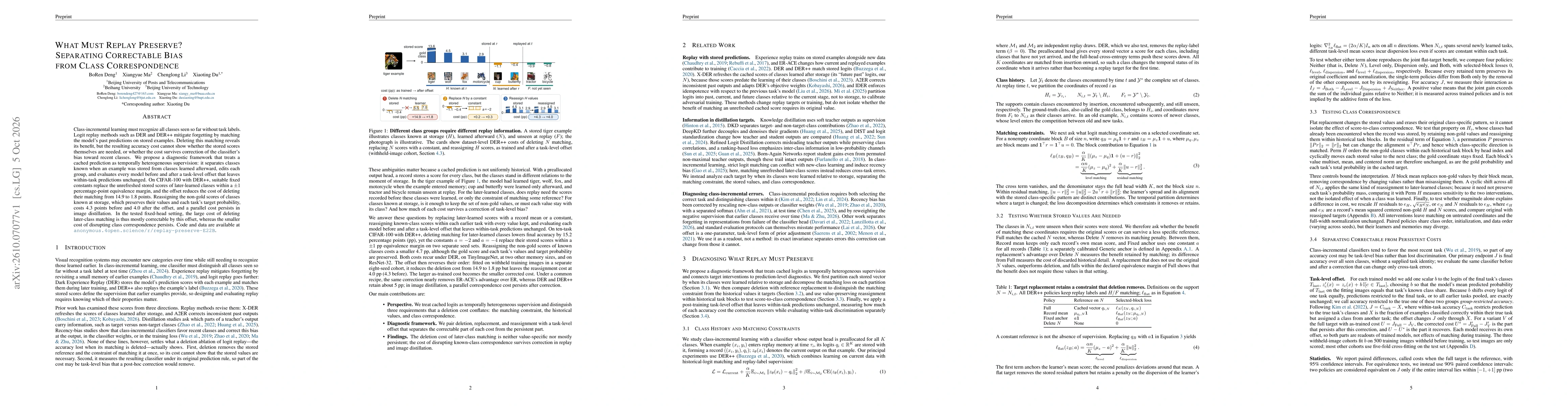 Thumbnail for What Must Replay Preserve? Separating Correctable Bias from Class Correspondence
