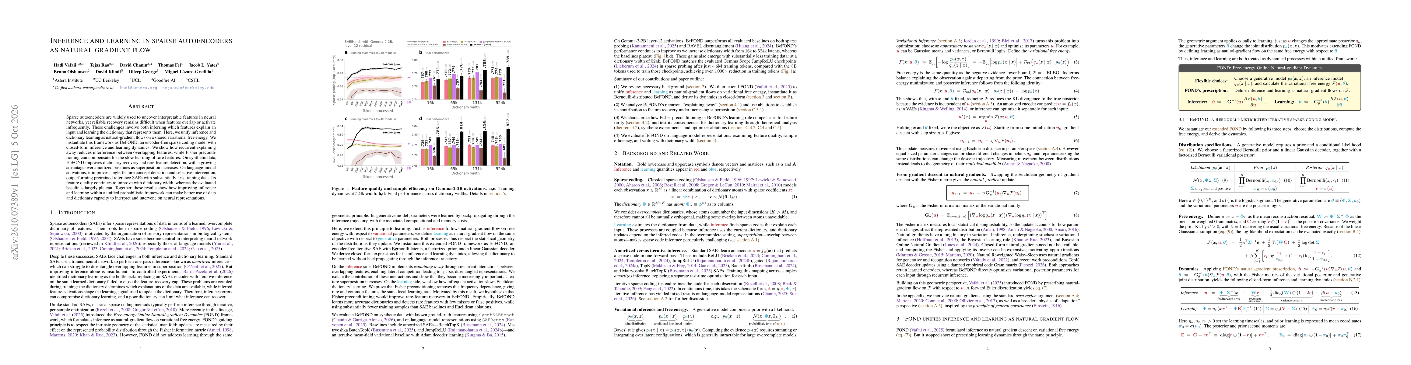 Thumbnail for Inference and learning in sparse autoencoders as natural gradient flow