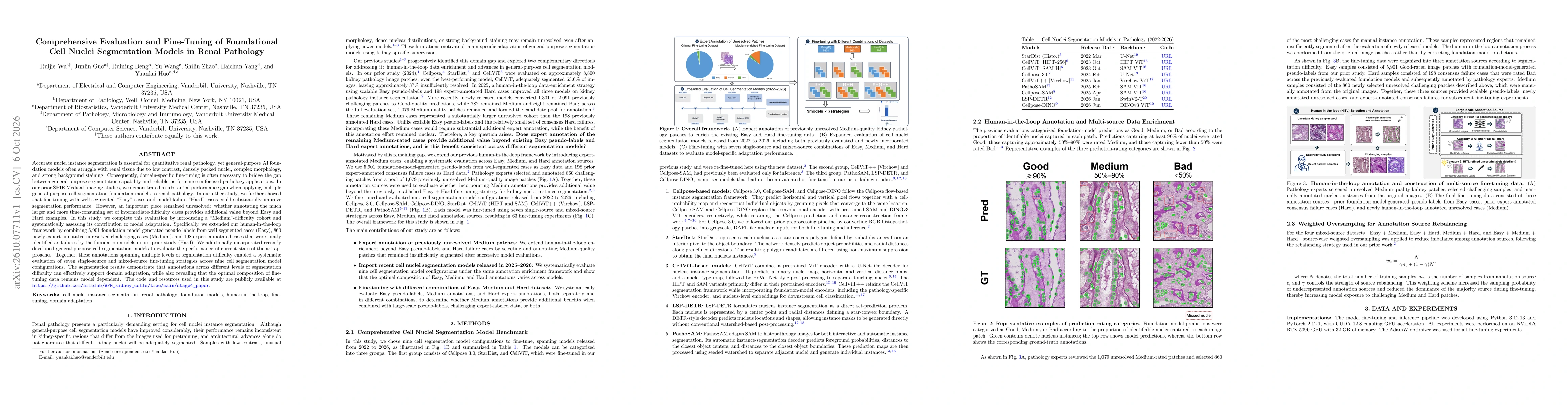 Thumbnail for Comprehensive Evaluation and Fine-Tuning of Foundational Cell Nuclei Segmentation Models in Renal Pathology