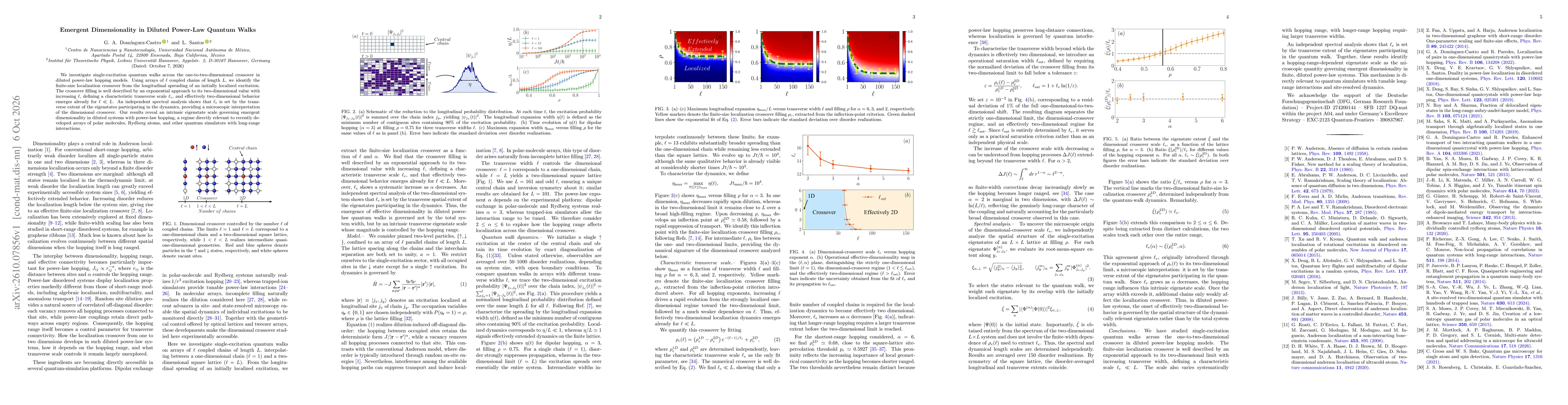 Thumbnail for Emergent Dimensionality in Diluted Power-Law Quantum Walks