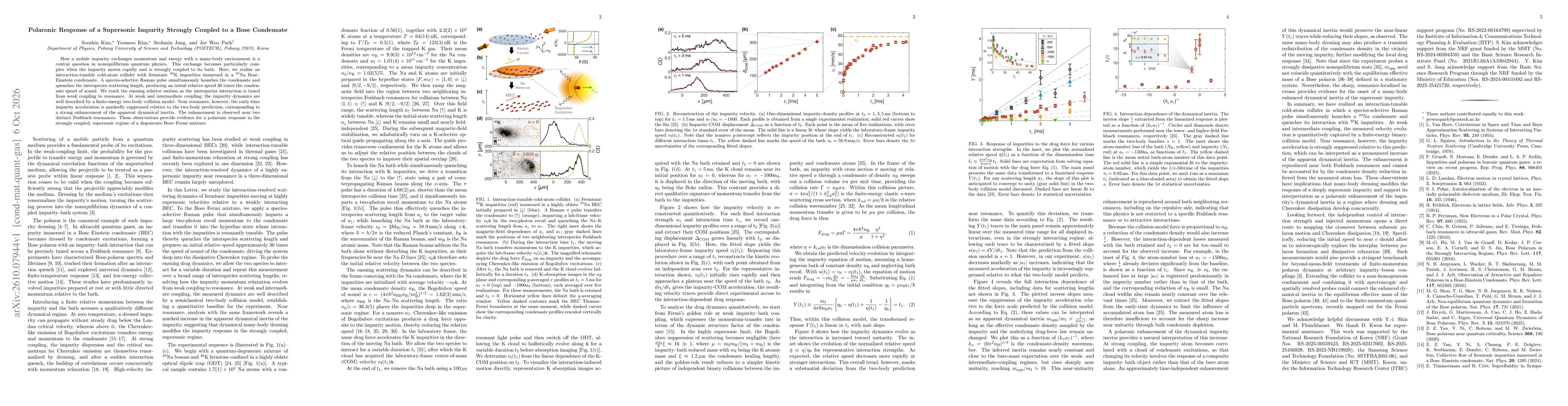 Thumbnail for Polaronic Response of a Supersonic Impurity Strongly Coupled to a Bose Condensate