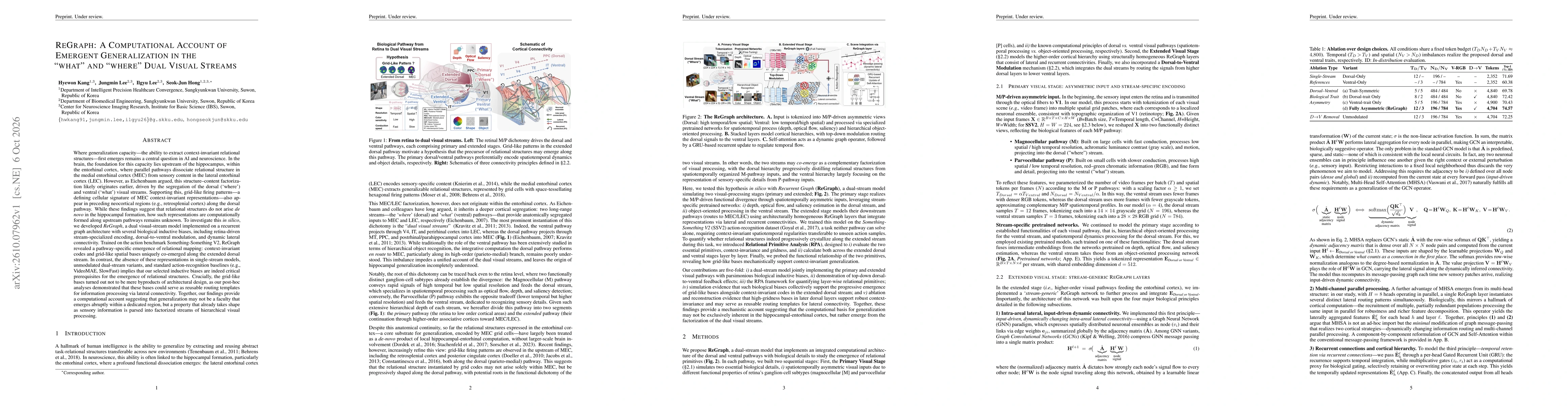 Thumbnail for ReGraph: A Computational Account of Emergent Generalization in the "what" and "where" Dual Visual Streams