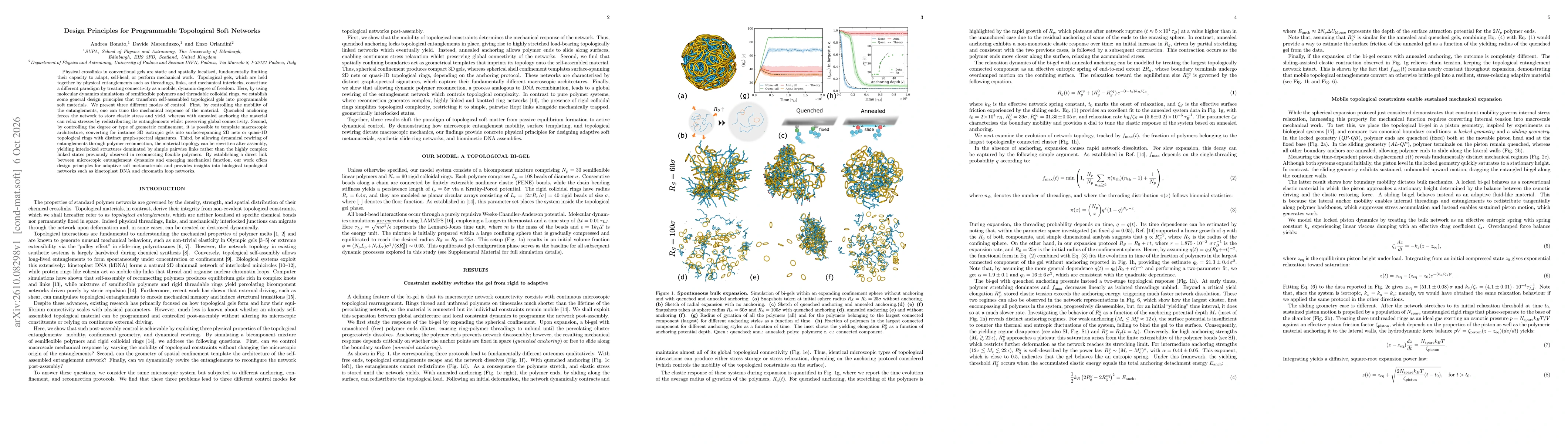 Thumbnail for Design Principles for Programmable Topological Soft Networks