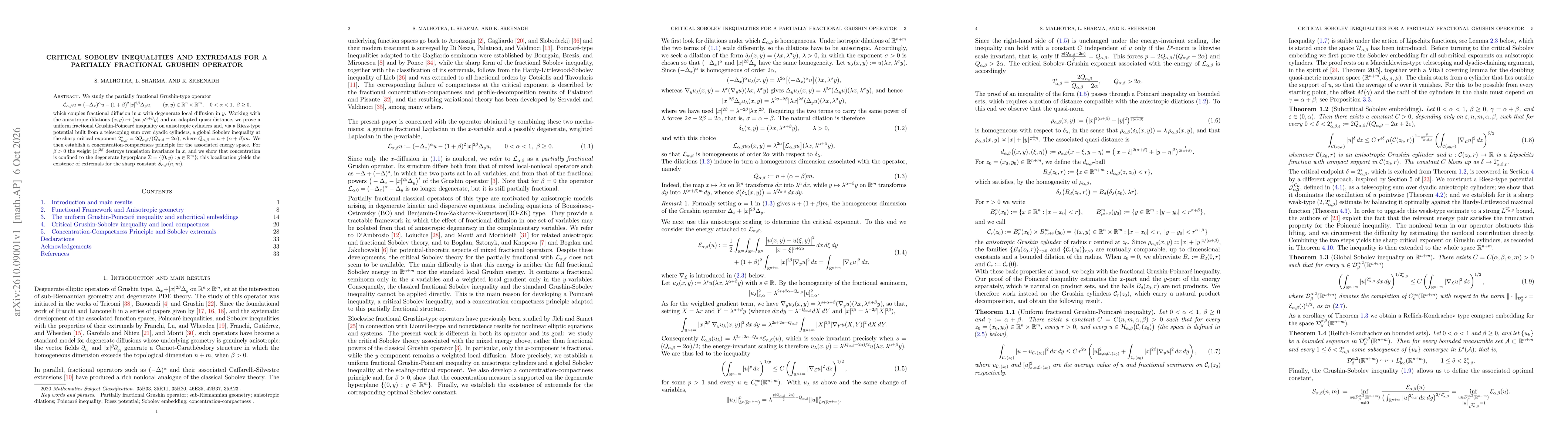 Thumbnail for Critical Sobolev Inequalities and Extremals for a Partially Fractional Grushin Operator
