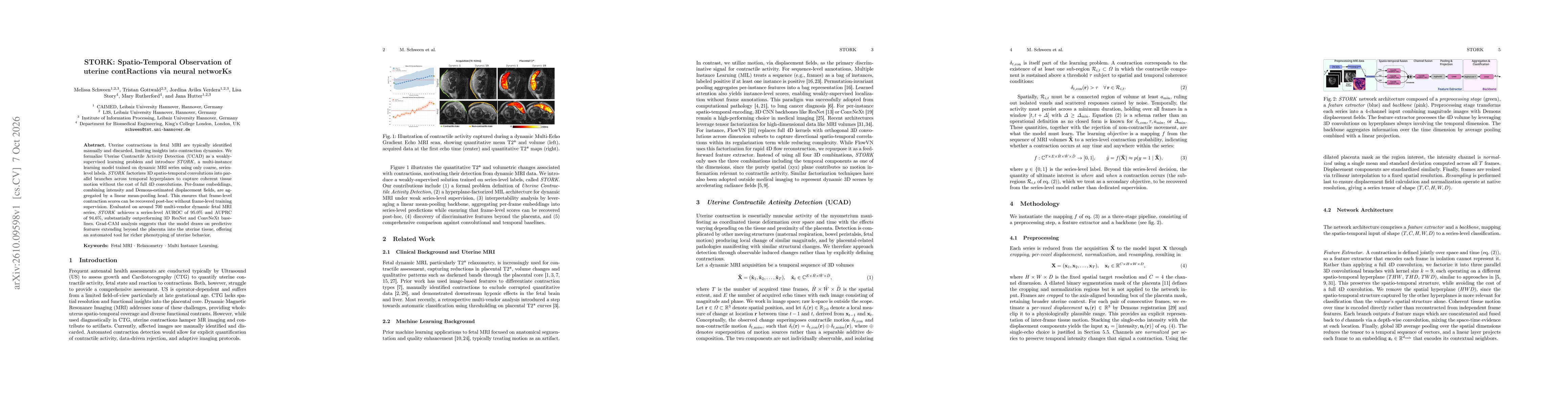 Thumbnail for STORK: Spatio-Temporal Observation of uterine contRactions via neural networKs