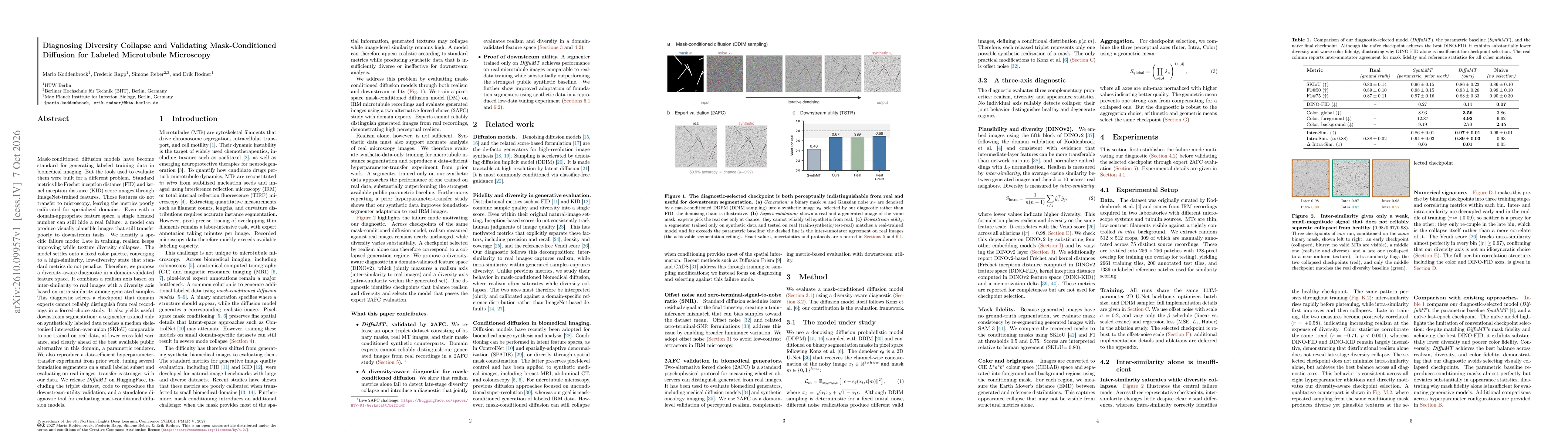 Thumbnail for Diagnosing Diversity Collapse and Validating Mask-Conditioned Diffusion for Labeled Microtubule Microscopy