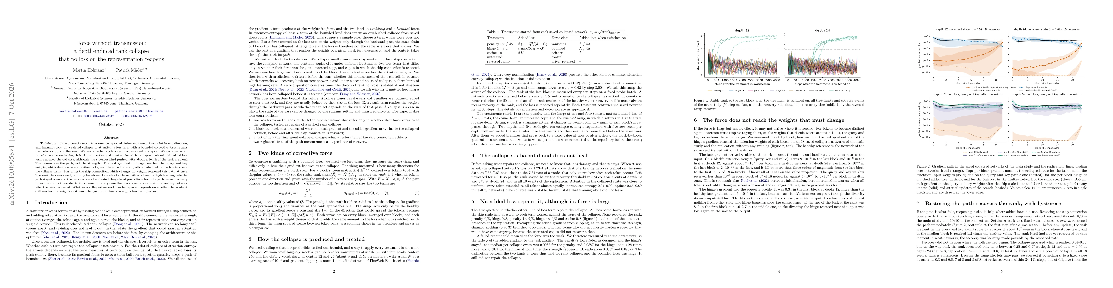 Thumbnail for Force without transmission: a depth-induced rank collapse that no loss on the representation reopens