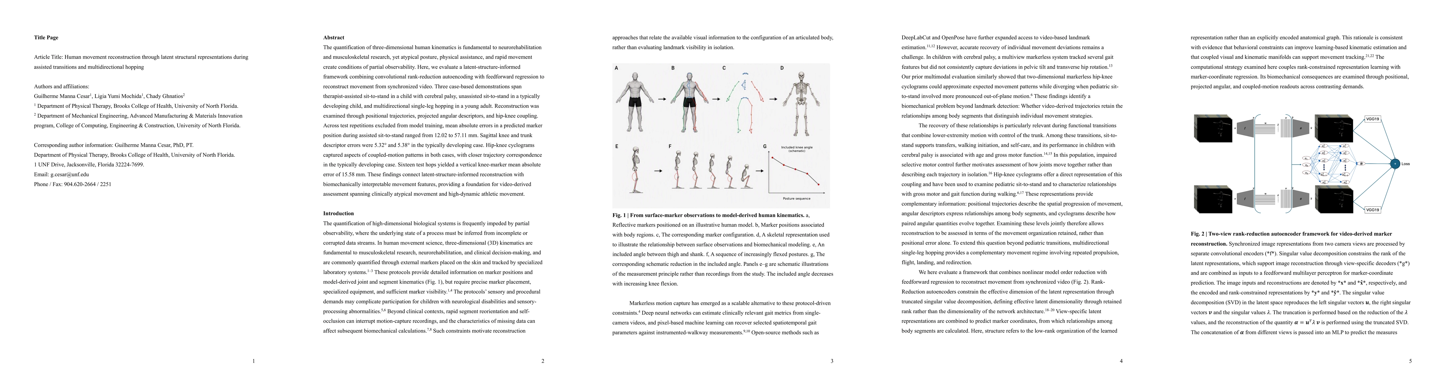 Thumbnail for Human movement reconstruction through latent structural representations during assisted transitions and multidirectional hopping