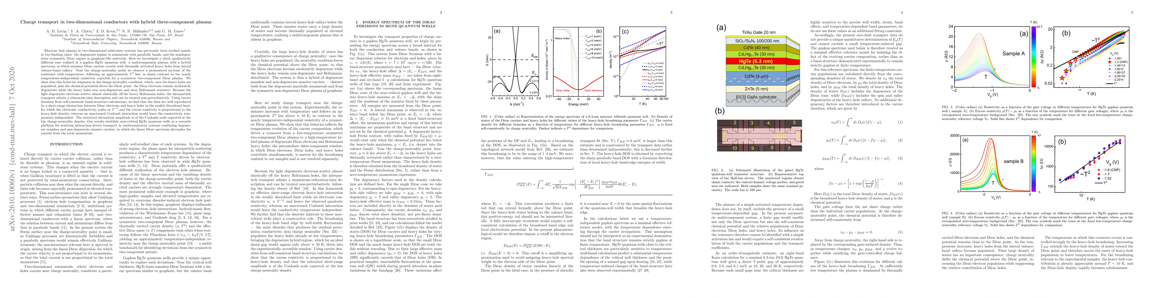 Thumbnail for Charge transport in two-dimensional conductors with hybrid three-component plasma