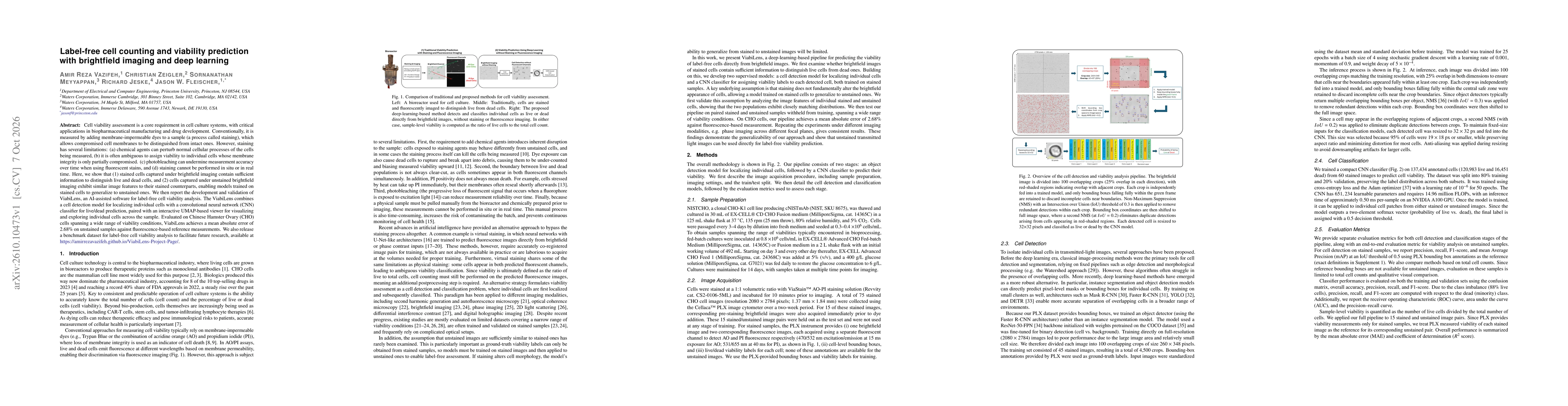 Thumbnail for Label-free cell counting and viability prediction with brightfield imaging and deep learning