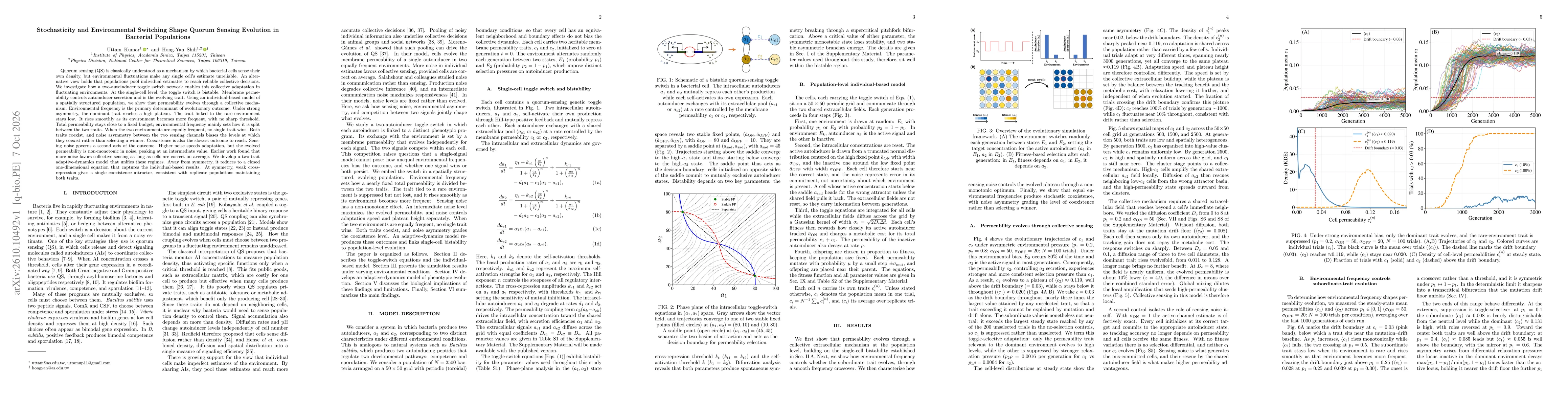 Thumbnail for Stochasticity and Environmental Switching Shape Quorum Sensing Evolution in Bacterial Populations