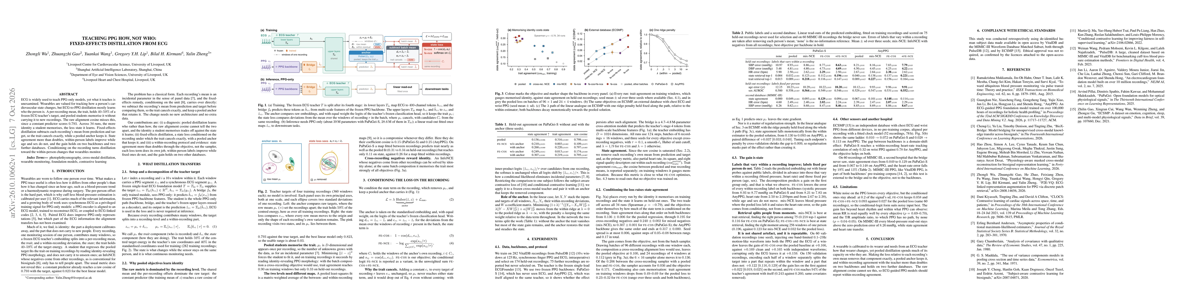 Thumbnail for Teaching PPG How not Who: Fixed-Effects Distillation from ECG