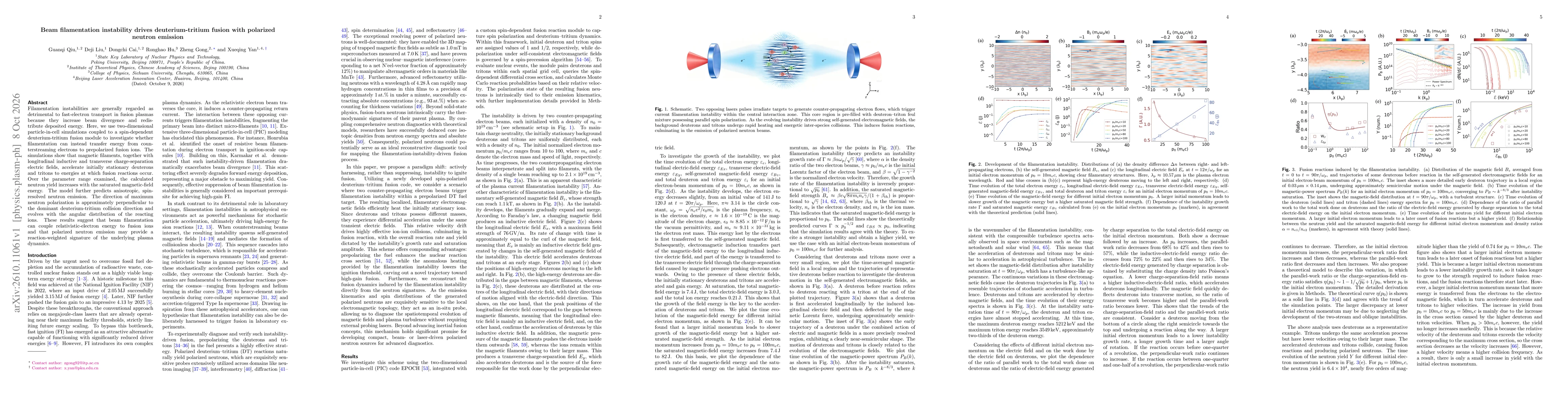 Thumbnail for Beam filamentation instability drives deuterium-tritium fusion with polarized neutron emission