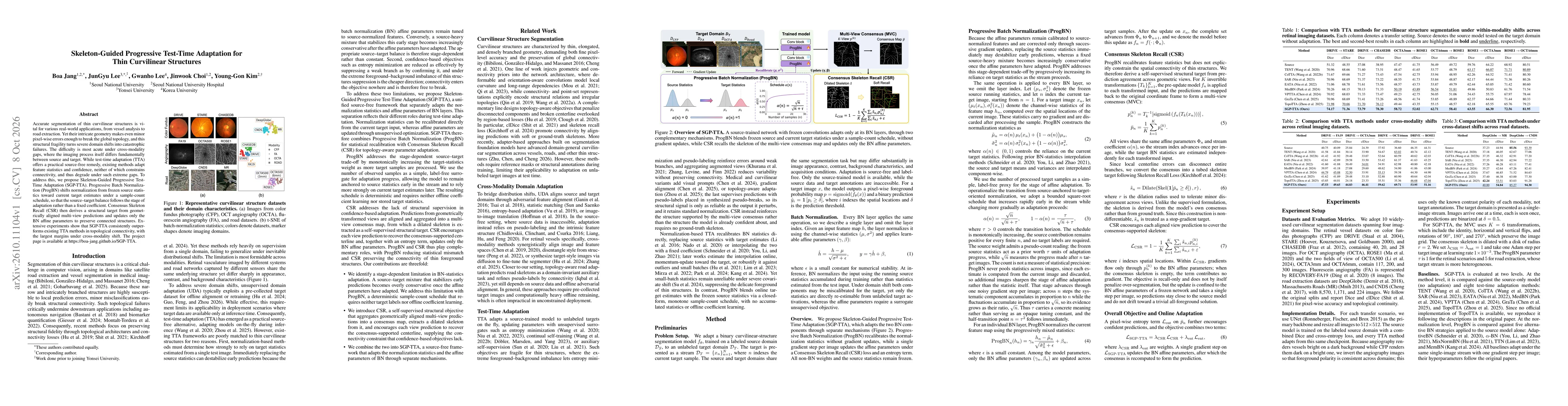 Thumbnail for Skeleton-Guided Progressive Test-Time Adaptation for Thin Curvilinear Structures