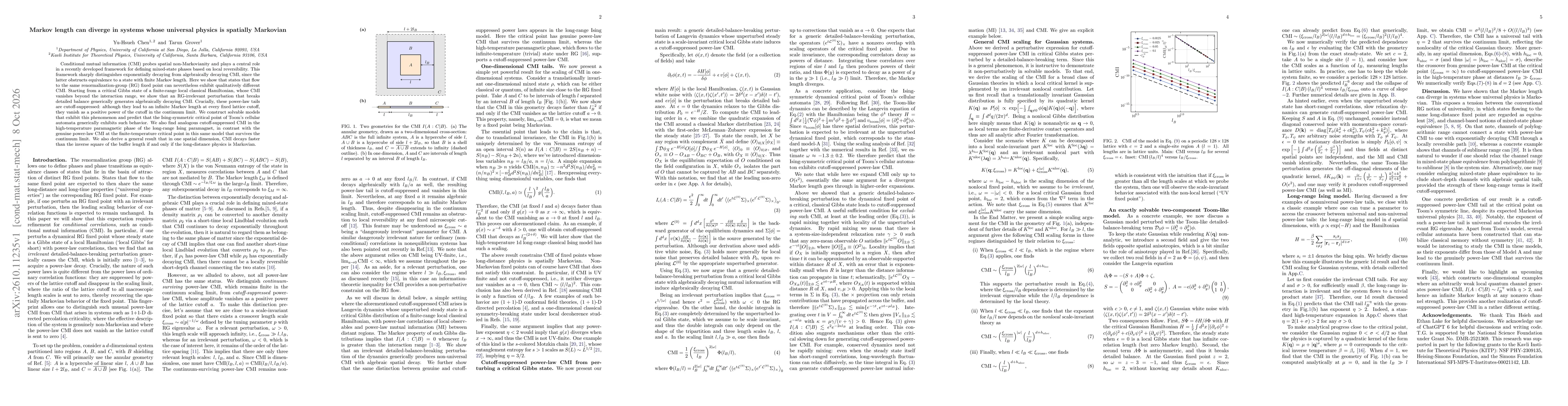 Thumbnail for Markov length can diverge in systems whose universal physics is spatially Markovian