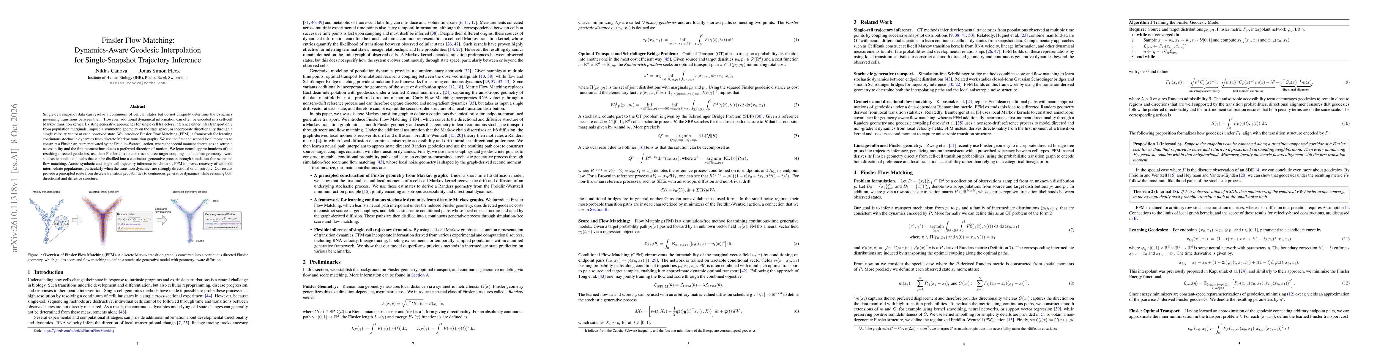 Thumbnail for Finsler Flow Matching: Dynamics-Aware Geodesic Interpolation for Single-Snapshot Trajectory Inference