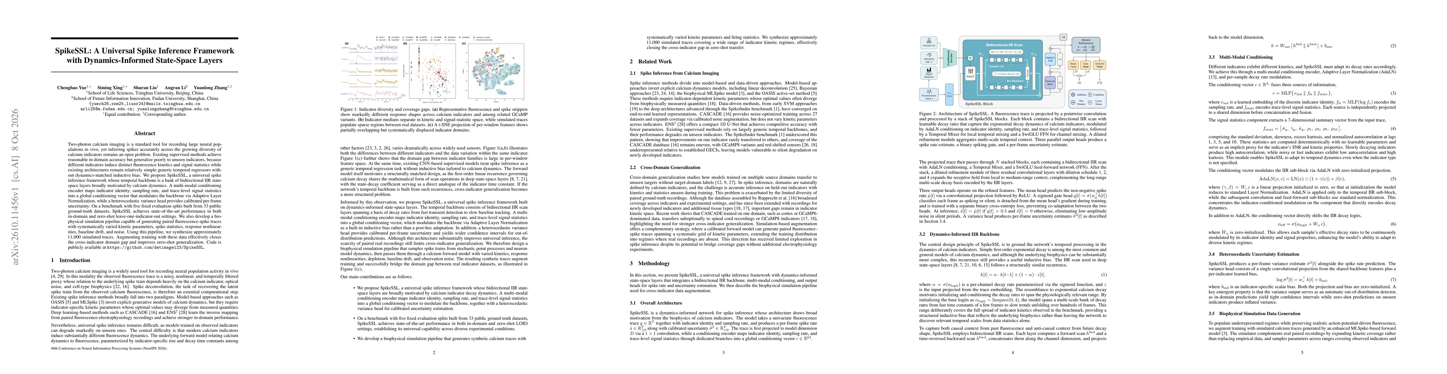 Thumbnail for SpikeSSL: A Universal Spike Inference Framework with Dynamics-Informed State-Space Layers