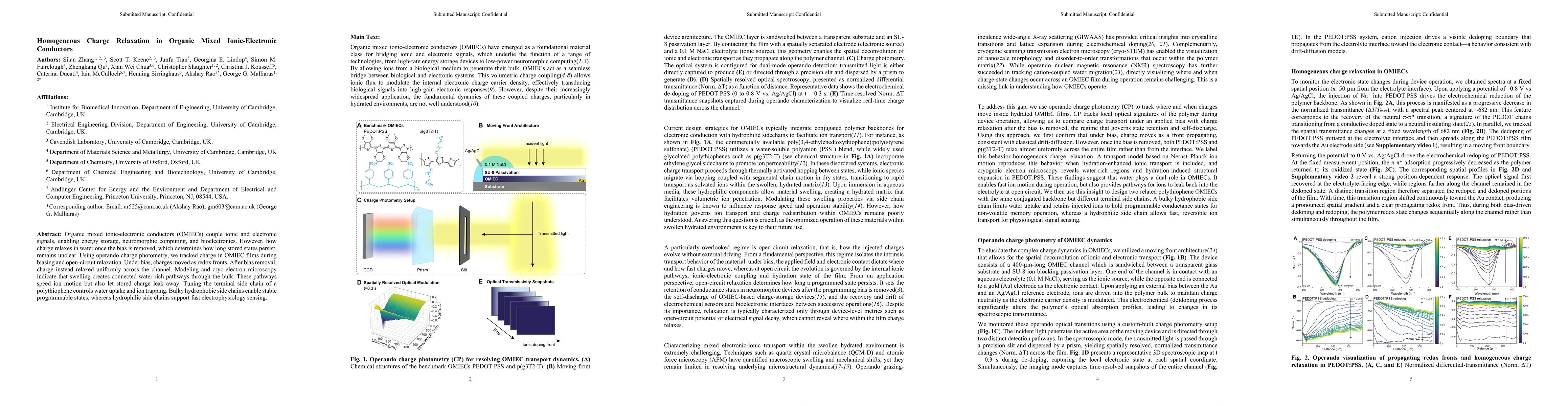 Thumbnail for Homogeneous Charge Relaxation in Organic Mixed Ionic-Electronic Conductors