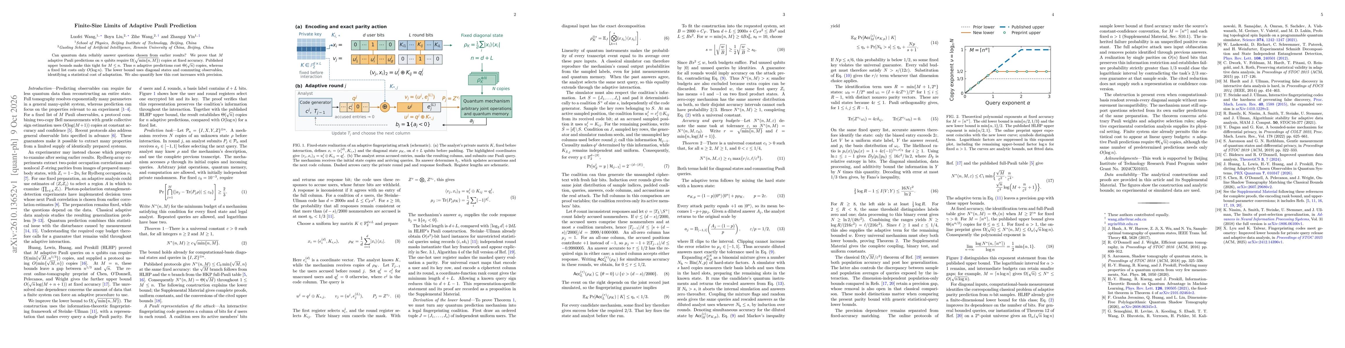 Thumbnail for Finite-Size Limits of Adaptive Pauli Prediction